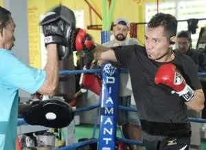 donaire.on.mitts.151208.300w