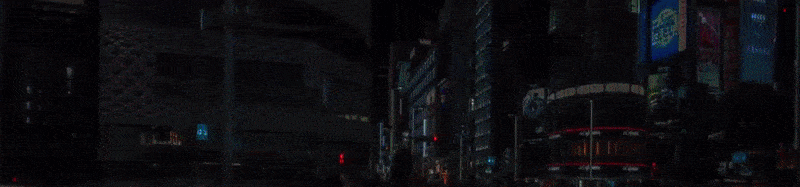 2019-wbo-convention-information